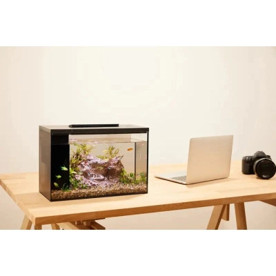 Акваріум Petkit ERAARK Intelligent aquarium PRO no landscape 12 л (AQ-1S)