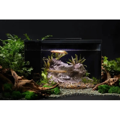 Акваріум Petkit ERAARK Intelligent aquarium PRO no landscape 12 л (AQ-1S)