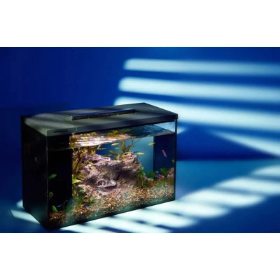 Акваріум Petkit ERAARK Intelligent aquarium PRO no landscape 12 л (AQ-1S)