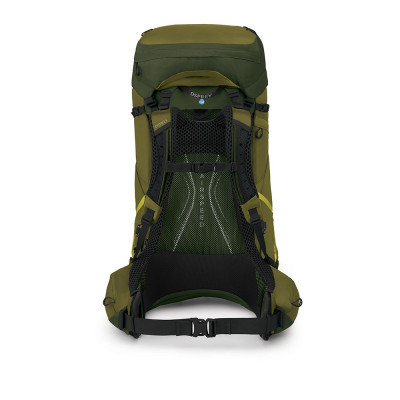 Рюкзак туристичний Osprey Atmos AG LT 65 scenic valley/green peppercorn L/XL (009.3279)