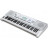 Синтезатор Kurzweil KP110 White (286763)