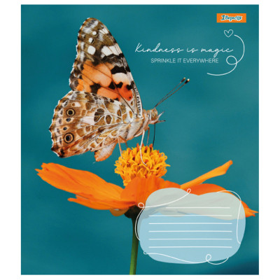 Зошит 1 вересня Butterfly А5 24 аркушів клітинка (767273)