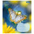 Зошит 1 вересня Butterfly А5 24 аркушів клітинка (767273)