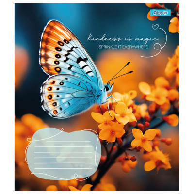 Зошит 1 вересня Butterfly А5 24 аркушів клітинка (767273)