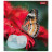 Зошит 1 вересня Butterfly А5 24 аркушів клітинка (767273)