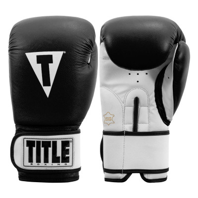 Боксерські рукавички Title Premier Leather Black/White M 12 oz (TSBG2 M BK/WH)
