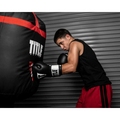 Боксерські рукавички Title Premier Leather Black/White M 12 oz (TSBG2 M BK/WH)