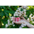 Батарейка Panasonic C R14 RED ZINK * 2 (R14REL/2BPR)