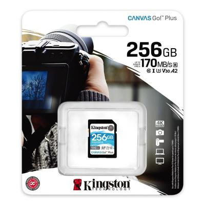 Карта пам&#039;яті Kingston 256GB SDXC class 10 UHS-I U3 Canvas Go Plus (SDG3/256GB)