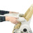 Стілець для годування El Camino ME 1038 PRIME ivory