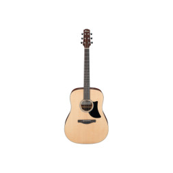 Гітара акустична Ibanez AAD50-LG (232725)