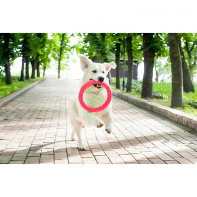 Іграшка для собак Collar PitchDog Кільце для апортування 17 см рожеве (62367)