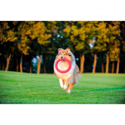 Іграшка для собак Collar PitchDog Кільце для апортування 17 см рожеве (62367)