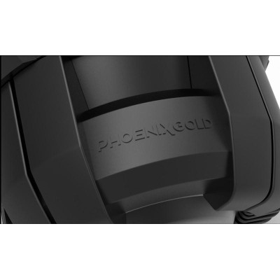 Сабвуферний динамік Phoenix Gold RX2 12S