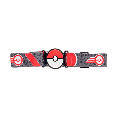 Ігровий набір Pokemon Спорядження тренера Іві W5 (PKW3650)