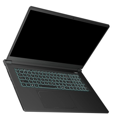 Ноутбук Thunderobot 911 X17 (911X17-i7136H56C1Q165MBD)