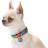 Нашийник для тварин WAUDOG Nylon з QR паспортом Colors of freedom пластиковий фастекс XL (4504-4020)