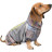 Дощовик для тварин Pet Fashion &quot;FORCE&quot; для такси XS (сірий з жовтим) (4823082422982)