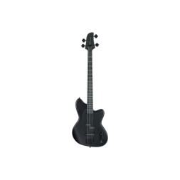Бас-гітара Ibanez TMB420B BKF (236710)