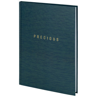 Книга записна Axent Earth colors Precious А4 96 аркушів клітинка (8422-574-A)