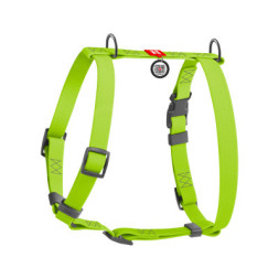 Шлея для собак WAUDOG Waterproof анатомічна Н-подібна S салатова (32945)