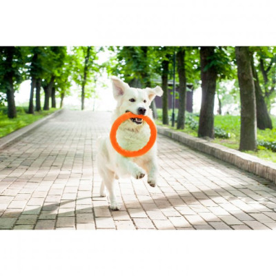 Іграшка для собак Collar PitchDog Кільце для апортування 20 см помаранчеве (62374)