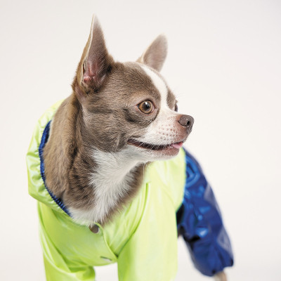Дощовик для тварин Pet Fashion &quot;PULSE&quot; XS (синій із зеленим) (4823082422821)