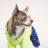 Дощовик для тварин Pet Fashion &quot;PULSE&quot; XS (синій із зеленим) (4823082422821)