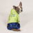 Дощовик для тварин Pet Fashion &quot;PULSE&quot; XS (синій із зеленим) (4823082422821)
