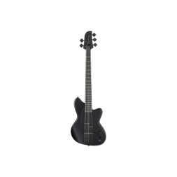 Бас-гітара Ibanez TMB425B BKF (236711)