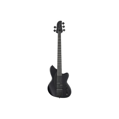 Бас-гітара Ibanez TMB425B BKF (236711)