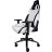 Крісло ігрове 1stPlayer DK2 Black-White