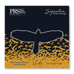 Струни для гітари PRS Signature David Grissom Guitar Strings (11-49) (100148004001004)