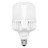 Лампочка Delux BL 80 30w 4100K (90020575 90015672)