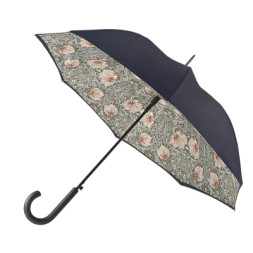 Парасоля Fulton L856-041062 Morris &amp; Co. Bloomsbury Pimpernel Bayleaf Manilla (L856-041062)