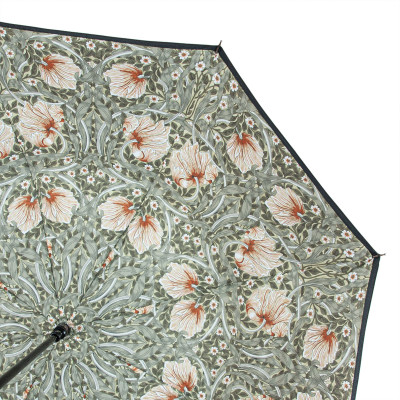 Парасоля Fulton L856-041062 Morris &amp; Co. Bloomsbury Pimpernel Bayleaf Manilla (L856-041062)