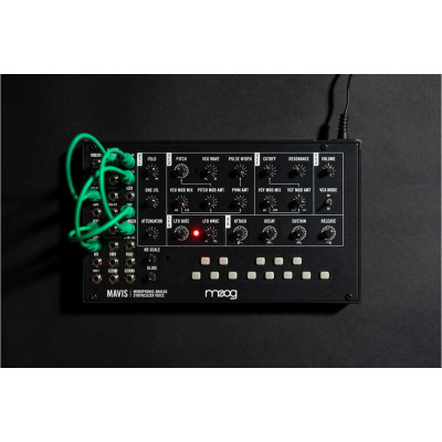 Синтезатор Moog Music Mavis (240985)