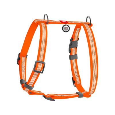 Шлея для собак WAUDOG Waterproof анатомічна Н-подібна, світловідбивна S помаранчева (32804)