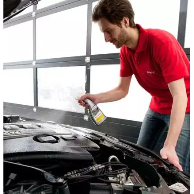 Автомобільний очисник Sonax двигуна Motor+Kaltreiniger 10 л (607600)