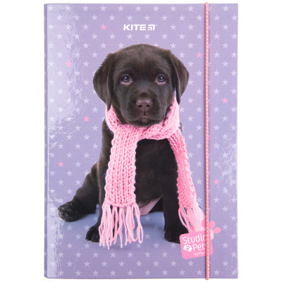 Папка для зошитів Kite В5 на гумці Studio Pets, картон (SP23-210)