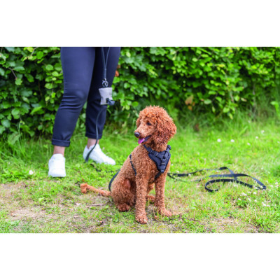Шлея для собак Trixie CityStyle H-harness Бавовна S–M 42–60 см 15 мм Чорна (4053032683273)