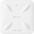 Точка доступу Wi-Fi Ruijie Networks RG-RAP6260(H)-D