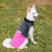 Попона для тварин Pet Fashion ROY 2XL малиново-сіра (4823082432912)