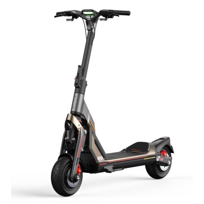 Електросамокат Segway Ninebot GT2P, чорний (AA.00.0012.65)