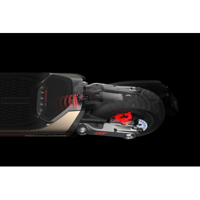 Електросамокат Segway Ninebot GT2P, чорний (AA.00.0012.65)
