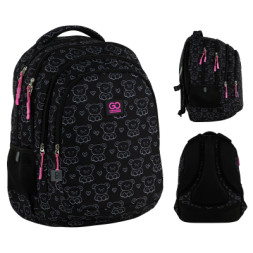Рюкзак шкільний GoPack Teens 162L-2 (GO25-162L-2)