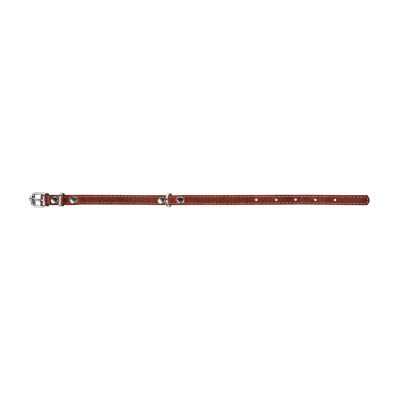 Нашийник для тварин Collar одинарний Ш 14 мм Д 27-35 см коричневий (00036)