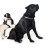 Шлея для собак Dog Extreme Police N2 40-60 см чорна (07051)