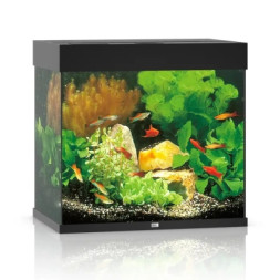 Акваріум Juwel LIDO 120 LED Чорний (4022573113501)