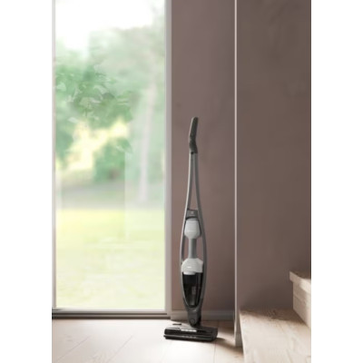 Пилосос Electrolux ES62HB25UV